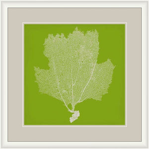 Surya Framed Wall Art Lj-4003 - 29"H X 28"W, Stylish Home Decor, Made In U.S.A., 30-day Warranty Main, Green Paper Lj4237-2929