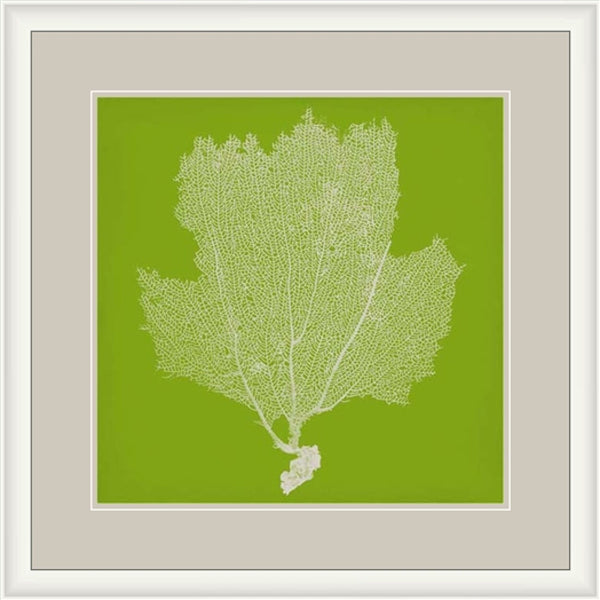 Surya Framed Wall Art Lj-4003 - 29"H X 28"W, Stylish Home Decor, Made In U.S.A., 30-day Warranty Main, Green Paper Lj4237-2929