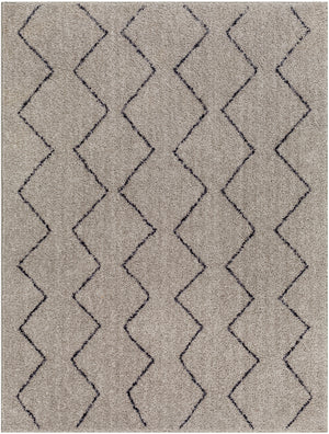 Lykke LKK-2304 8'10" x 11'10" Machine Woven Rug LKK2304-810119 Livabliss Surya