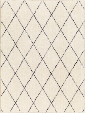 Lykke LKK-2306 8'10" x 11'10" Machine Woven Rug LKK2306-810119 Livabliss Surya