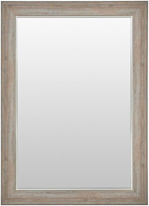 Nikolai LKN-001 36"H x 30"W x 1"D Accent Mirror LKN001-3630 Livabliss Surya