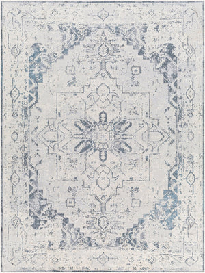 Livabliss Lillian Traditional Polyester Accent Rug Machine Woven in Turkey for Entryways and Baths Oatmeal, Gray 7'10" x 10' LLL2300-710102