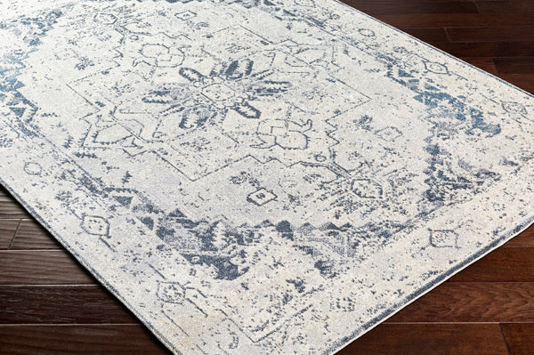 Livabliss Lillian Traditional Polyester Accent Rug Machine Woven in Turkey for Entryways and Baths Oatmeal, Gray 7'10" x 10' LLL2300-710102