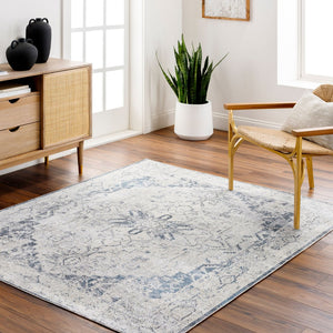 Livabliss Lillian Traditional Polyester Accent Rug Machine Woven in Turkey for Entryways and Baths Oatmeal, Gray 7'10" x 10' LLL2300-710102
