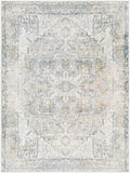 Lillian LLL-2301 9'2" x 12'4" Machine Woven Rug LLL2301-9212 Livabliss Surya