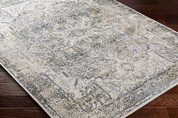 Livabliss Lillian Traditional Polyester Accent Rug Turkish Woven Low Pile for Entryways Gray, Oatmeal 2'7" x 7'3" LLL2301-2773