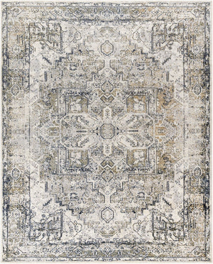 Livabliss Lillian Traditional Polyester Accent Rug Turkish Woven Low Pile for Entryways Gray, Oatmeal 7'10" x 10' LLL2301-710102