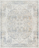 Lillian LLL-2301 7'10" x 10' Machine Woven Rug LLL2301-710102 Livabliss Surya