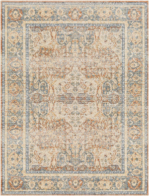 Livabliss Lillian Traditional Accent Rug Machine Woven Polyester Low Pile for Entryways and Hallways Oatmeal, Gray 2'2" x 3'9" LLL2304-2339