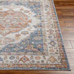 Livabliss Lillian Traditional Polyester Woven Rug for Entryways Hallways and High Traffic Floors Oatmeal, Dark B 2' x 2'11" LLL2305-23