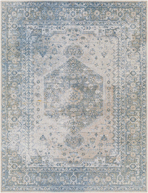 Livabliss Lillian Traditional Polyester Accent Rug Machine Woven in Turkey for Entryways and Hallways Gray, Dark Blue 2'2" x 3'9" LLL2307-2339