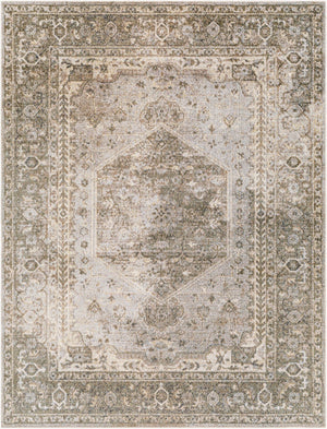 Livabliss Lillian Traditional Patterned Polyester Area Rug Woven in Turkey for Entryways Gray, Olive 9'2" x 12'4" LLL2308-9212