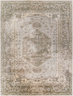 Livabliss Lillian Traditional Patterned Polyester Area Rug Woven in Turkey for Entryways Gray, Olive 7'10" x 10' LLL2308-710102