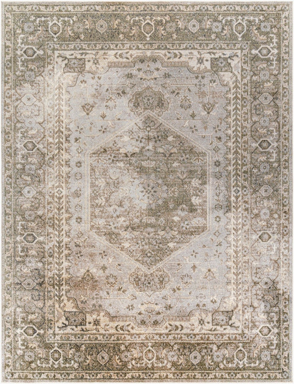 Livabliss Lillian Traditional Patterned Polyester Area Rug Woven in Turkey for Entryways Gray, Olive 7'10" x 10' LLL2308-710102