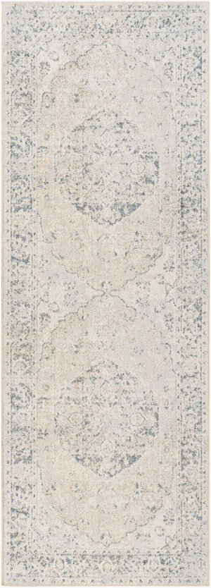 Livabliss Lillian Traditional Polyester Machine Woven Low Pile Accent Rug for Entryways and Bedrooms Gray, Oatmeal 2'7" x 7'3" LLL2310-2773