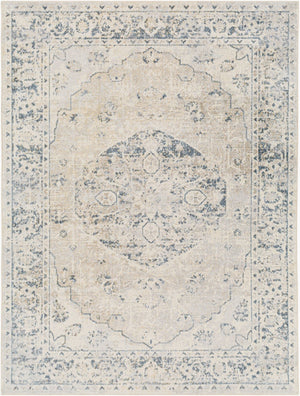 Livabliss Lillian Traditional Polyester Machine Woven Low Pile Accent Rug for Entryways and Bedrooms Gray, Oatmeal 2'2" x 3'9" LLL2310-2339