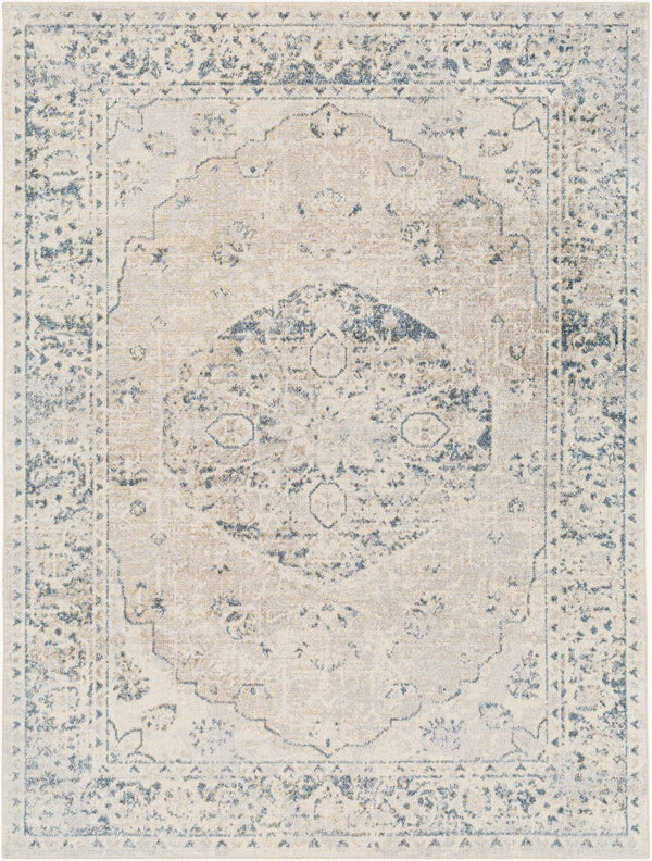 Livabliss Lillian Traditional Polyester Machine Woven Low Pile Accent Rug for Entryways and Bedrooms Gray, Oatmeal 2'2" x 3'9" LLL2310-2339