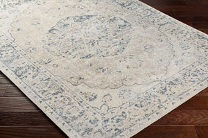 Livabliss Lillian Traditional Polyester Machine Woven Low Pile Accent Rug for Entryways and Bedrooms Gray, Oatmeal 2'2" x 3'9" LLL2310-2339
