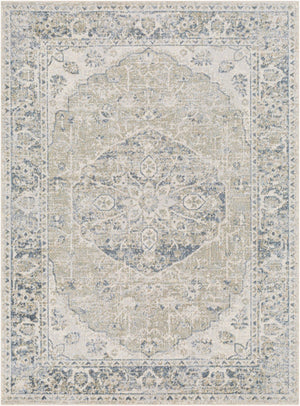 Livabliss Lillian Traditional Machine Woven Polyester Accent Rug for Entryways and Bedside Areas Gray, Olive 6'7" x 9' LLL2311-679