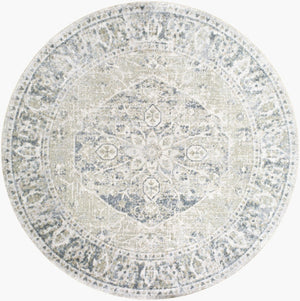 Livabliss Lillian Traditional Machine Woven Polyester Accent Rug for Entryways and Bedside Areas Gray, Olive 6'7" x 6'7" LLL2311-67RD