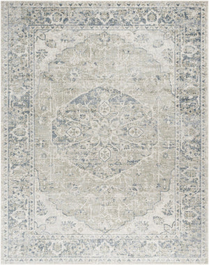 Livabliss Lillian Traditional Machine Woven Polyester Accent Rug for Entryways and Bedside Areas Gray, Olive 7'10" x 10' LLL2311-710102