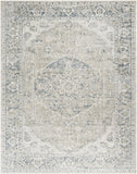 Lillian LLL-2311 7'10" x 10' Machine Woven Rug LLL2311-710102 Livabliss Surya