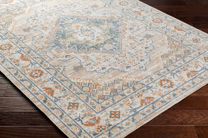Livabliss Lillian Traditional Polyester Machine Woven Low Pile Rug for Entryways and Small Spaces Oatmeal, Brown 9'2" x 12'4" LLL2318-9212