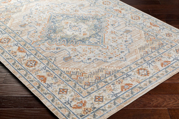 Livabliss Lillian Traditional Polyester Machine Woven Low Pile Rug for Entryways and Small Spaces Oatmeal, Brown 9'2" x 12'4" LLL2318-9212