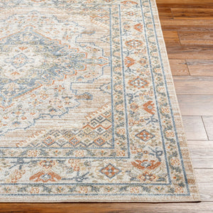 Livabliss Lillian Traditional Polyester Machine Woven Low Pile Rug for Entryways and Small Spaces Oatmeal, Brown 9'2" x 12'4" LLL2318-9212