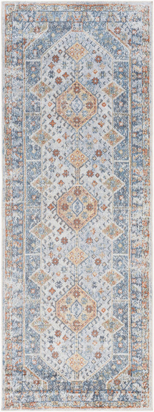 Livabliss Lillian Traditional Polyester Machine Woven Low Pile Rug for Entryways and Small Spaces Oatmeal, Gray 2'7" x 7'3" LLL2319-2773