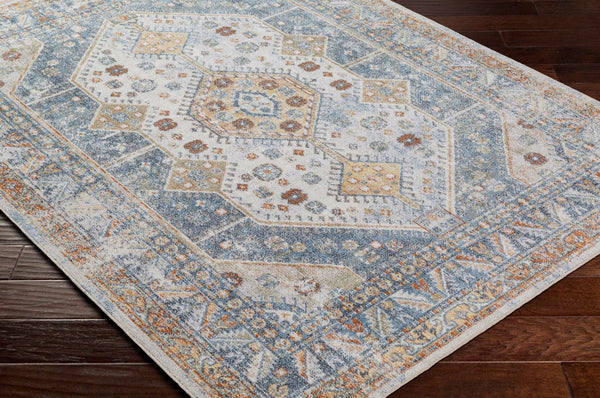 Livabliss Lillian Traditional Polyester Machine Woven Low Pile Rug for Entryways and Small Spaces Oatmeal, Gray 9'2" x 12'4" LLL2319-9212