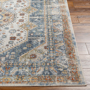 Livabliss Lillian Traditional Polyester Machine Woven Low Pile Rug for Entryways and Small Spaces Oatmeal, Gray 9'2" x 12'4" LLL2319-9212