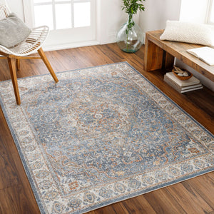 Livabliss Lillian Traditional Turkish Machine Woven Polyester Rug for Entryways and Small Spaces LLL2321-2339