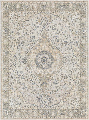Livabliss Lillian Traditional Pattern Polyester Accent Rug Low Pile Machine Washable Floor Piece Gray, Oatmeal 7'10" x 10' LLL2322-710102