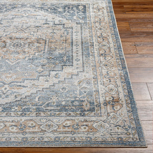 Livabliss Lillian Traditional Low Pile Polyester Accent Rug for Entryways Hallways and Bedrooms Oatmeal, Gray 5'3" x 7' LLL2323-537