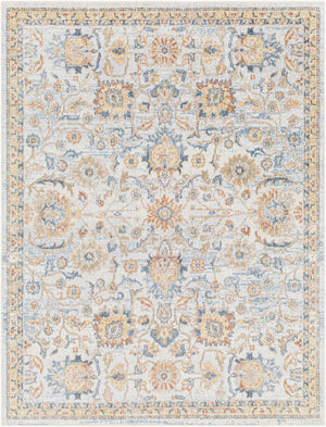 Livabliss Lillian Traditional Polyester Low Pile Accent Rug Woven in Turkey for Entryways Gray, Oatmeal 9'2" x 12'4" LLL2327-9212
