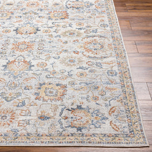 Livabliss Lillian Traditional Polyester Low Pile Accent Rug Woven in Turkey for Entryways Gray, Oatmeal 2'7" x 7'3" LLL2327-2773