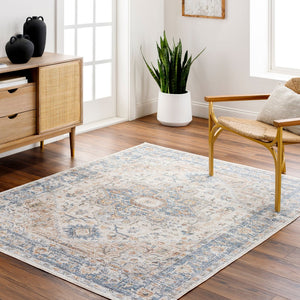 Livabliss Lillian Traditional Polyester Area Rug Machine Woven in Turkey for Living and Dining Rooms Oatmeal, Gray 2' x 2'11" LLL2328-23