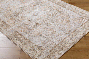 Livabliss Lillian Traditional Polyester Accent Rug Turkey Woven Low Pile Entryway Kitchen Floor Dark Brown, Lig 2' x 2'11" LLL2362-23