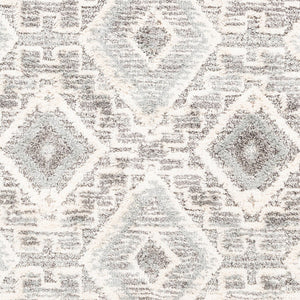 Livabliss La Maison Global Eclectic High Pile Polypropylene Accent Rug for Bohemian Interiors Medium Gray, Cr 5'3" x 7'3" LMS2304-5373