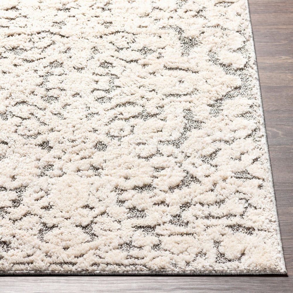 Livabliss La Maison Turkish Machine Woven Polypropylene High Pile Accent Rug for Entryways LMS2306-23