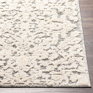 Livabliss La Maison Turkish Machine Woven Polypropylene High Pile Accent Rug for Entryways LMS2306-23