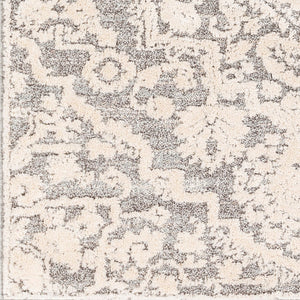 Livabliss La Maison Turkish Machine Woven Polypropylene High Pile Accent Rug for Entryways LMS2306-23