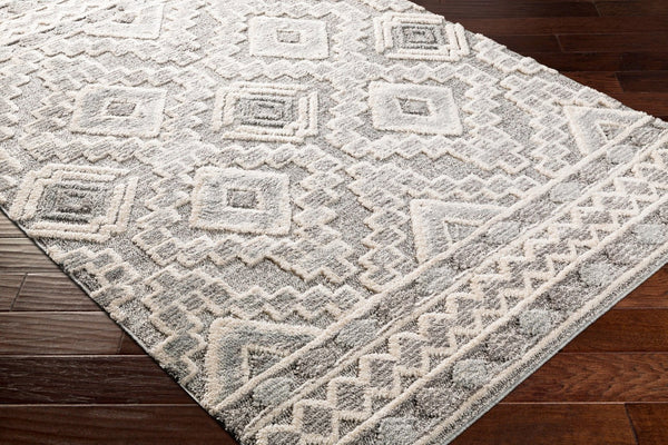 Livabliss La Maison Bohemian Global High Pile Polypropylene Rug for Entryways and Bedrooms LMS2310-23