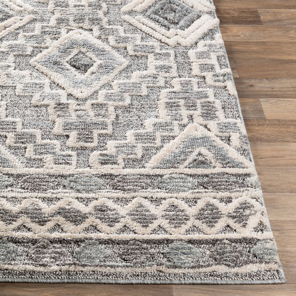 Livabliss La Maison Bohemian Global High Pile Polypropylene Rug for Entryways and Bedrooms LMS2310-23