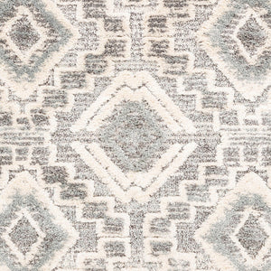 Livabliss La Maison Bohemian Global High Pile Polypropylene Rug for Entryways and Bedrooms LMS2310-23