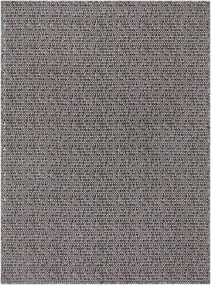 Livabliss Lumina Coastal Flatweave Area Rug Uv Resistant Polypropylene Blend for Patio or Entryway Black, Light Gr 2'7" x 7'3" LMU2309-2773