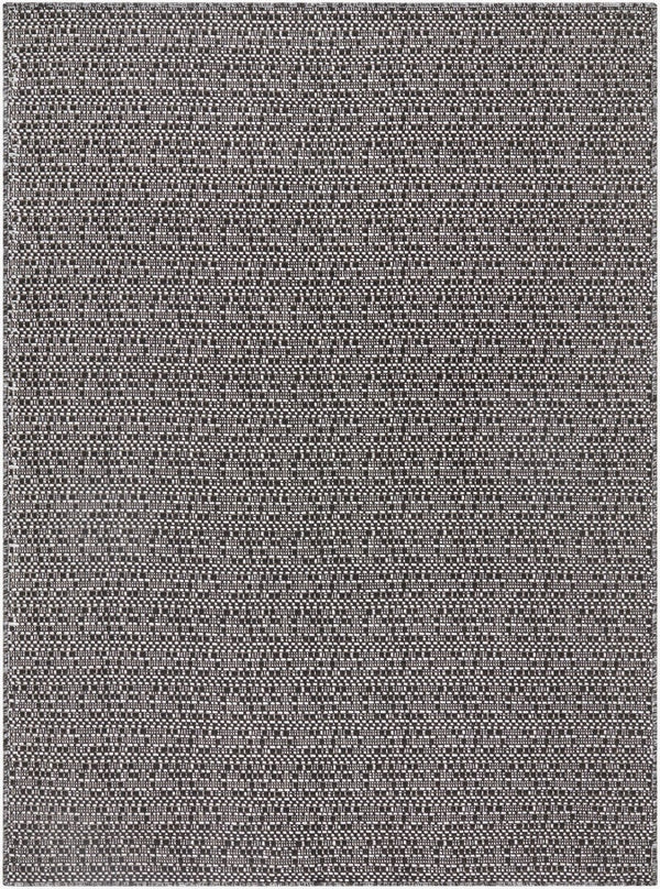 Livabliss Lumina Coastal Flatweave Area Rug Uv Resistant Polypropylene Blend for Patio or Entryway Black, Light Gr 2'7" x 7'3" LMU2309-2773