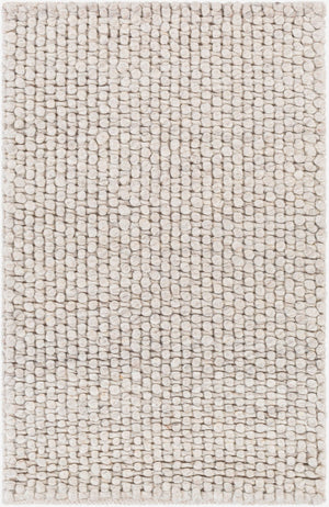 Livabliss Lucerne Handwoven Wool Blend Flatweave Area Rug for Living Room or Dining Space Light Gray 2' x 3' LNE1002-23