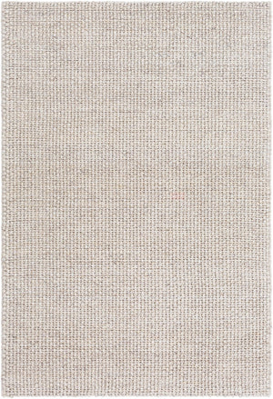 Livabliss Lucerne Handwoven Wool Blend Flatweave Area Rug for Living Room or Dining Space Light Gray 10' x 14' LNE1002-1014